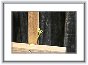 IMG_0908 * 3888 x 2592 * (3.54MB)