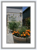 IMG_0910 * 3888 x 2592 * (5.13MB)