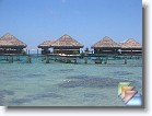 Honeymoon_Extras * (139 Slides)