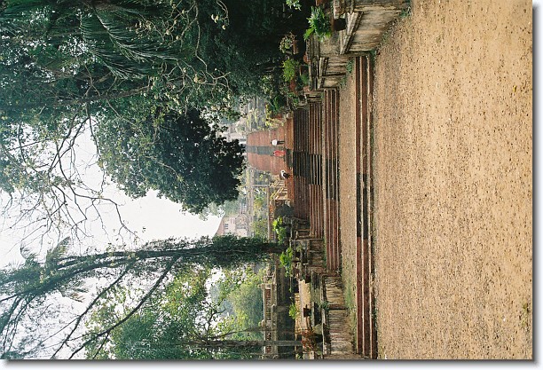 Click for the original image